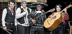 Mariachi Bands